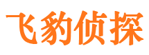 李沧调查公司